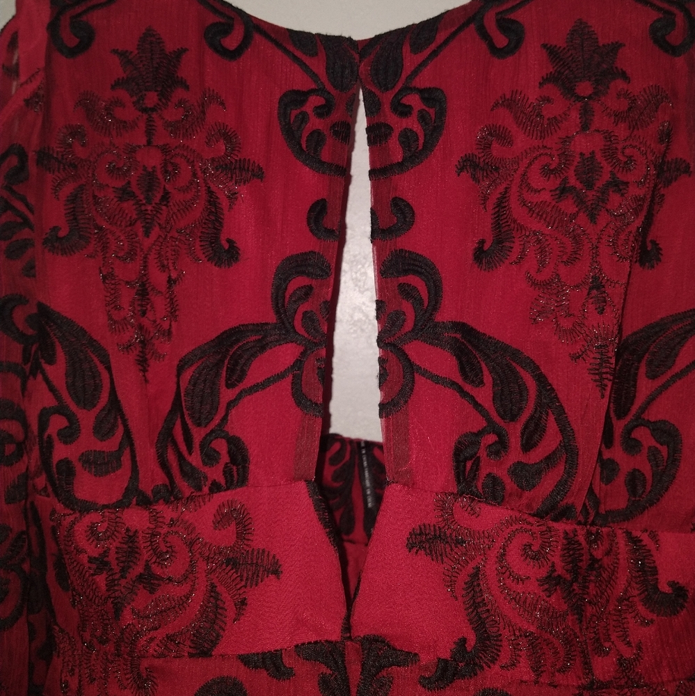 FREE PEOPLE Want to Want Me Red/Black Embroidery Mini Dress - Picture 11 of 11